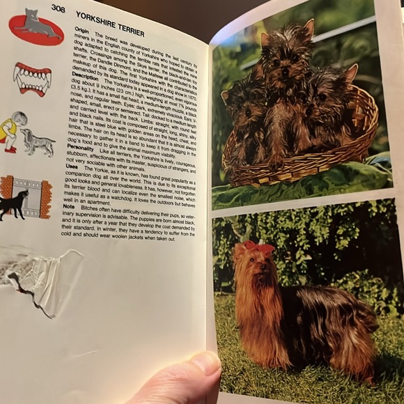 Identity dogs 320 Breeds - Picture 12 of 13